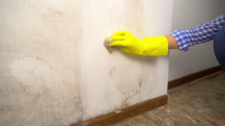 Best Real Estate Mold Inspection  in Califon, NJ