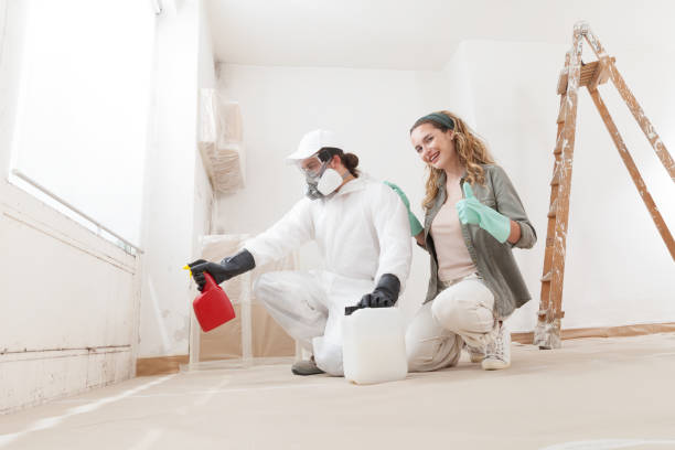 Best Black Mold Removal  in Califon, NJ